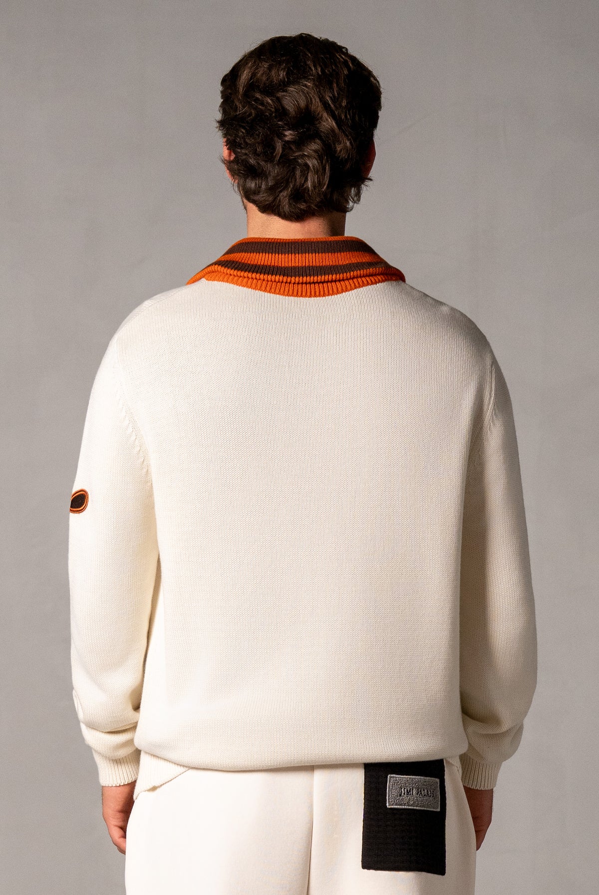 Herren Strickpolo mit Reißverschluss in Beige – Beige, Rückansicht
