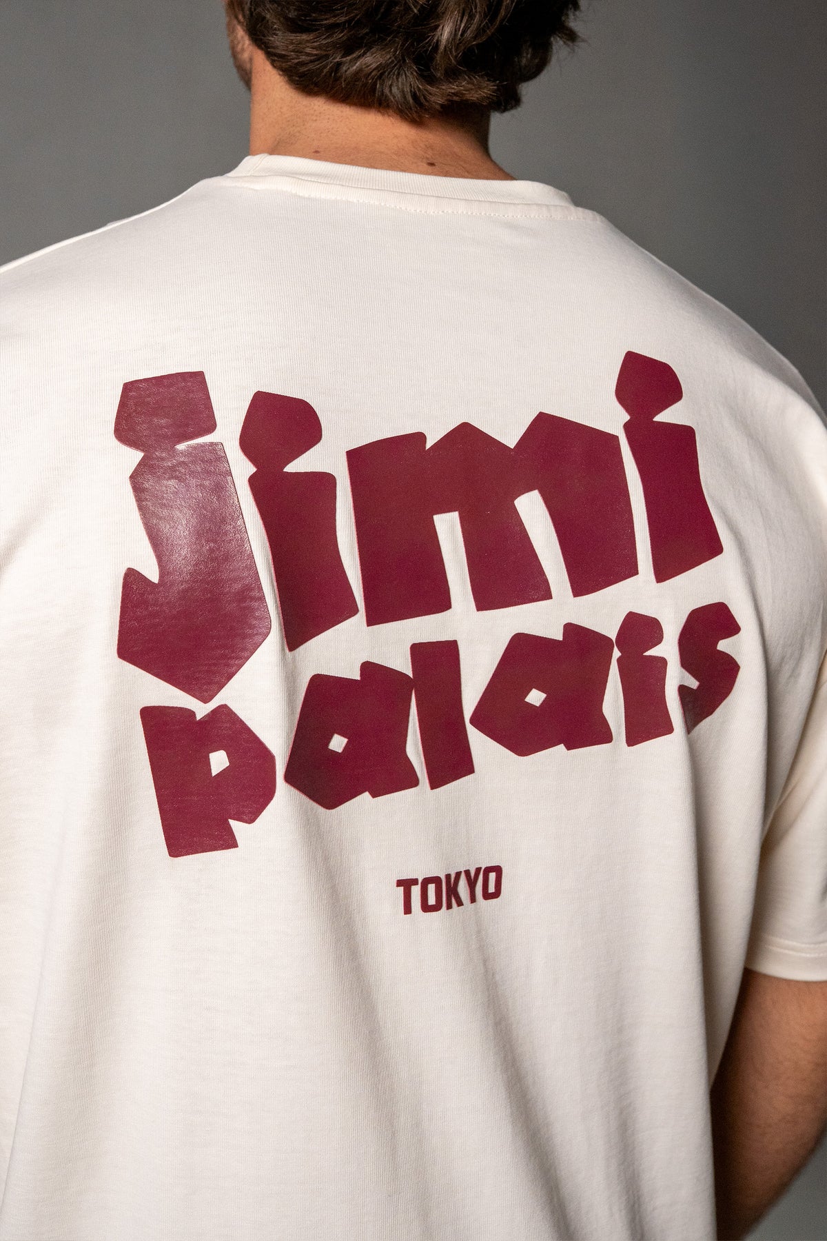 Herren T-Shirt Beige mit JIMI PALAIS Tokyo-Print – Beige, Detail