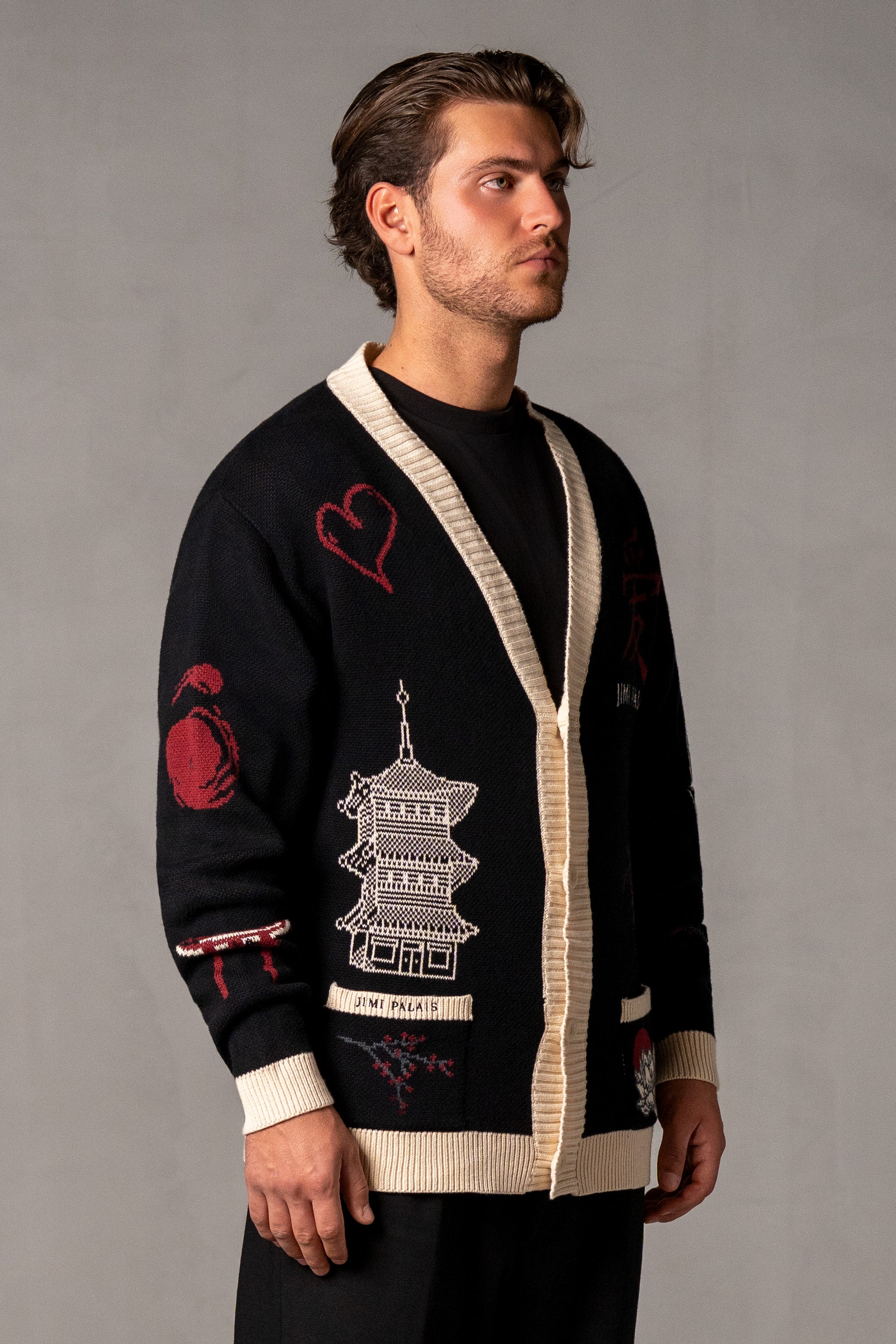 Herren Cardigan mit Japan-Applikationen – Schwarz, Seitenansicht