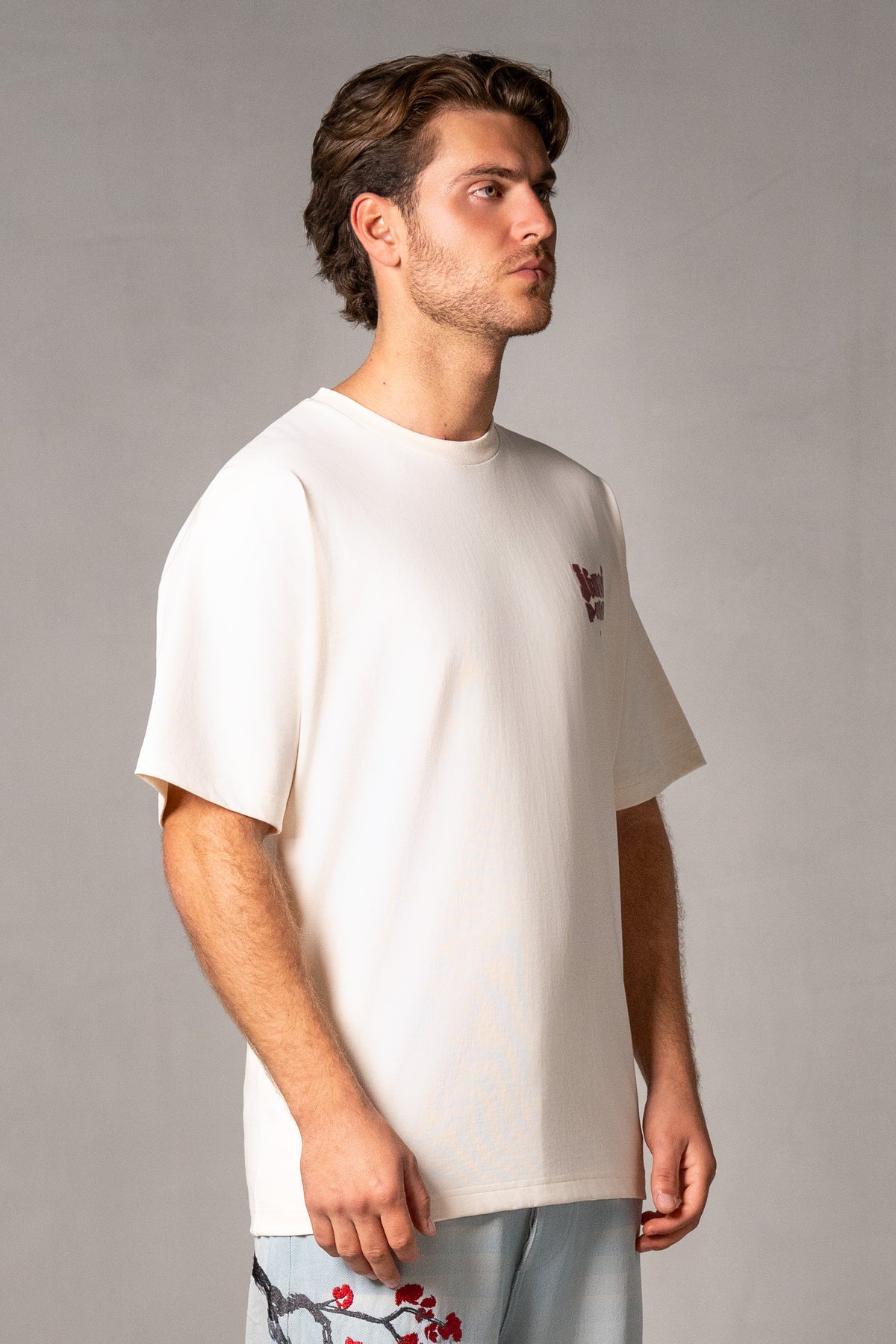 Herren T-Shirt Beige mit JIMI PALAIS Tokyo-Print – Beige, Seitenansicht