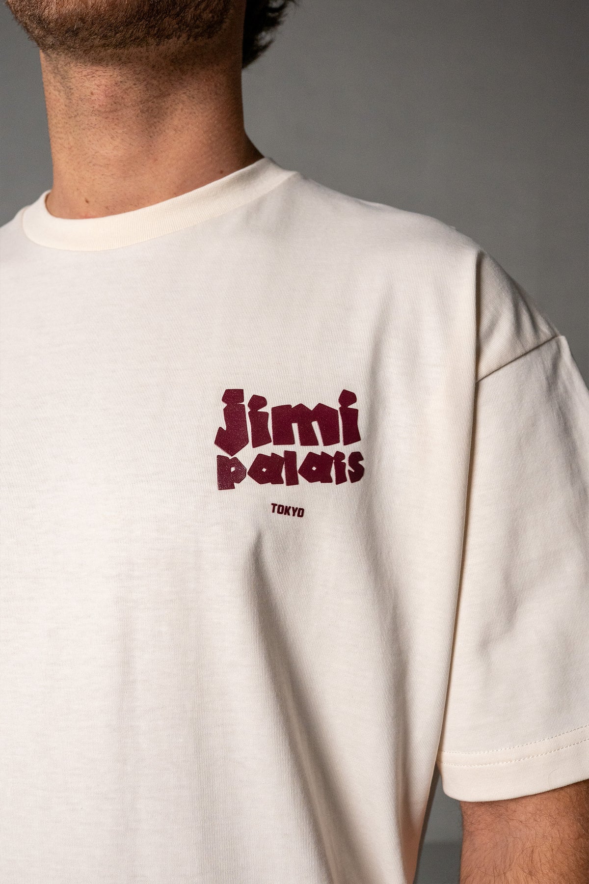 Herren T-Shirt Beige mit JIMI PALAIS Tokyo-Print – Beige, Detail